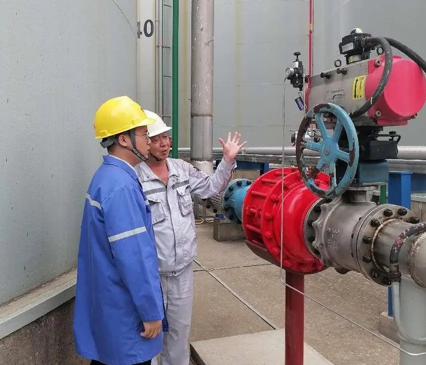 ATEX certified Detonation Flame arrester( 8840-IIB3)